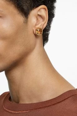 Γυναικεία Σκουλαρίκια Swarovski χρυσαφί -Swarovski Sales Store unnamed file 594