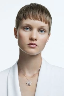 Γυναικεία Swarovski - Κολιέ Stella ασημί -Swarovski Sales Store unnamed file 858